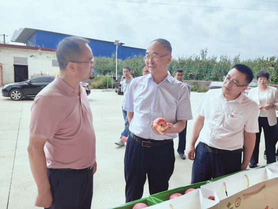 （圖片新聞）延安市政協(xié)調(diào)研冷鏈物流發(fā)展情(1292450)-20240910084324.jpg