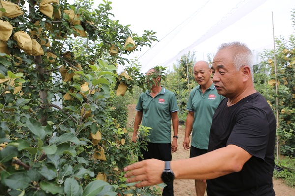 1755044994558767.jpg 倒頭條配圖(1665484)-20250813082833.jpg